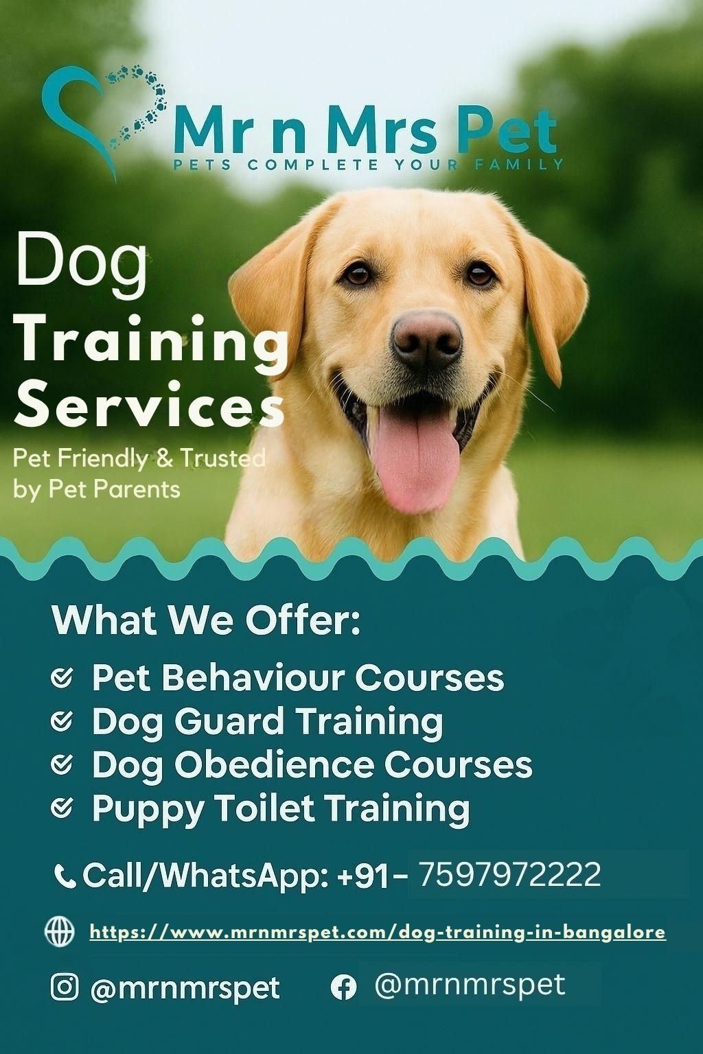 Dog Training Service in Bangalore